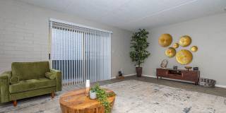 Bellevue Towers Gallery 49