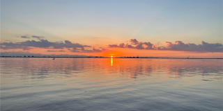 333 THE ESPLANADE N Gallery 40