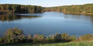 1333 Springlawn Court Gallery 14