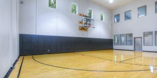 Seasons at Lea Hill Gallery 14