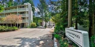 Modern Updated large Bellevue 2bd 2bath Condo! Modern Updated large Bellevue 2bd 2bath Condo! Gallery 1