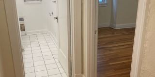 New King Edward Gallery 590