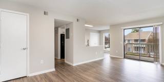 Clear Run Gallery 13