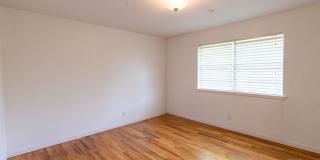 1556 Singleton Avenue Gallery 13