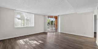 Palm Aire Windward Gallery 6