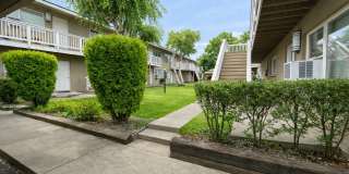 Zah4004(CWP) Gallery 1