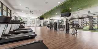 Solara Vista Gallery 44