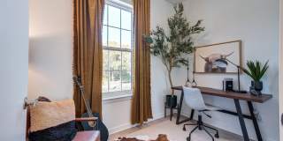 Welcome Canary Gallery 4