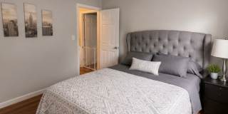 51 White Terrace Gallery 9