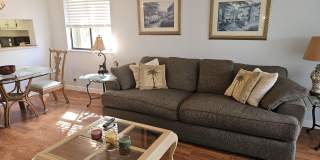 3138 Via Poinciana Gallery 8