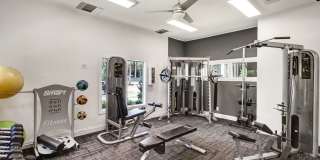 Timberwalk at Mandarin Gallery 8