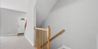 Premium Property in Mt Airy. Grab it while it's HOT Premium Property in Mt Airy. Grab it while it's HOT Gallery 31