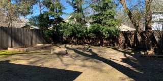 Cute Chico Charmer/Close to downtown and CSUC Gallery 12