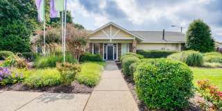 Ashford Place Gallery 47