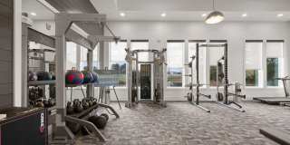 Allora Pines Gallery 29