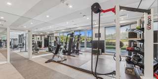 Continuum Gallery 18