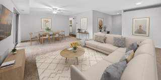 The Forest Apartments Gallery 1