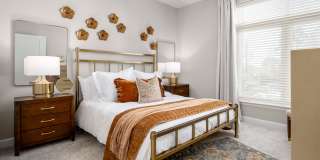 The Canopy Gallery 11