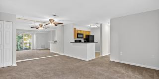 The Cloisters Gallery 42