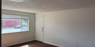 Three-Bedroom home with large backyard Gallery 7