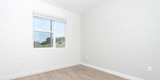 Ocean Creek Gallery 8