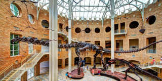 Briarcliff Terrace Gallery 30