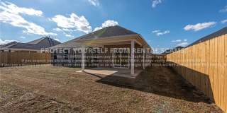 411 Coconut Lane Gallery 17
