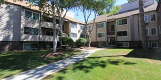 Redwood Hills Gallery 20