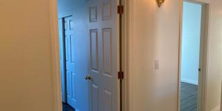 Summerlin - Single Story on Corner Lot Gallery 21
