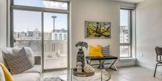 Orion Gallery 4