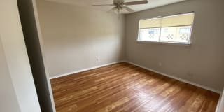 Royal Palms Gallery 8