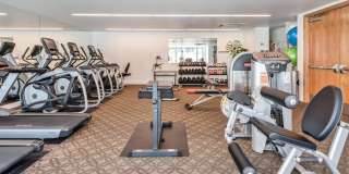 The Grand Gallery 101