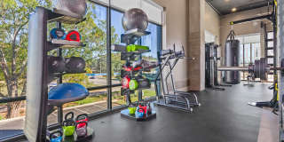 Arcadia Luxury Apartments Gallery 8