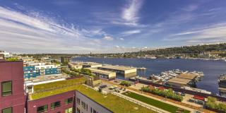 Westlake Steps Gallery 9