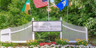 Nutmeg Woods Gallery 2