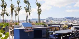 The Madelon Gallery 17