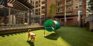 Slate at NoMa Gallery 20