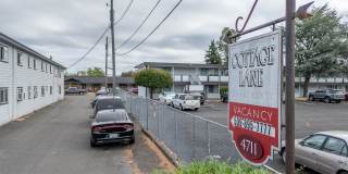 Cottage Lane Gallery 1