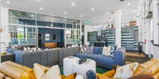 Cortland Belmar Gallery 48