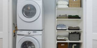 Vineyards Gallery 202