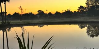 2529 N Miller Rd Gallery 49