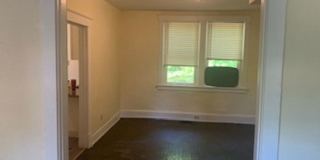 Treetop views in North Avondale Gallery 15