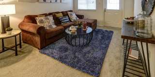 Mann Village Gallery 11