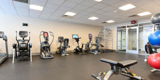 The Stories Gallery 31