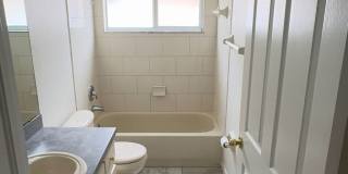 Come see this beautiful 3 bedroom, 2 bath, 2 car garage home for rent near Citrus Park Mall! Gallery 28