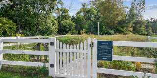 Christina Mill Gallery 23