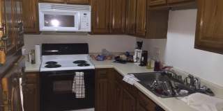 UT PRE LEASE: West Campus 2bd / 2ba Cathedral ceilings, Huge windows, Good Roommate floor-plan Gallery 4