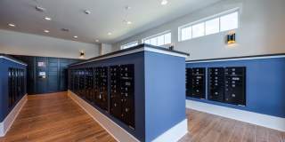 Madison Palms Gallery 44