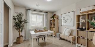911 Cadence View Way Gallery 9