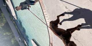 Cliffs at Canyon Ridge Gallery 62